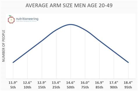 11 inch biceps|Average Bicep Size Based On Gender And Age.